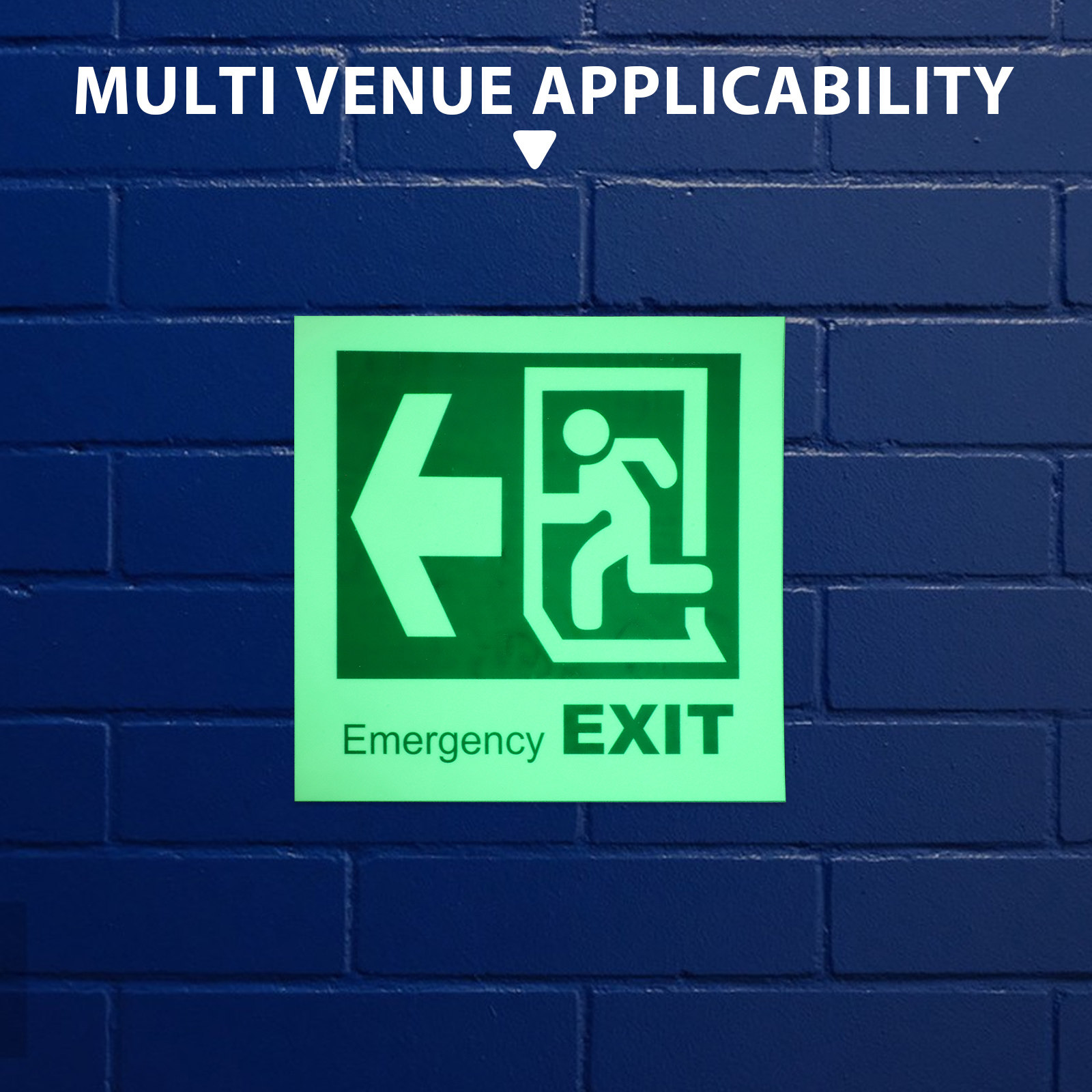 Luminous Emergency Exit Sign S - Emergency Exit Sign 评论和价格