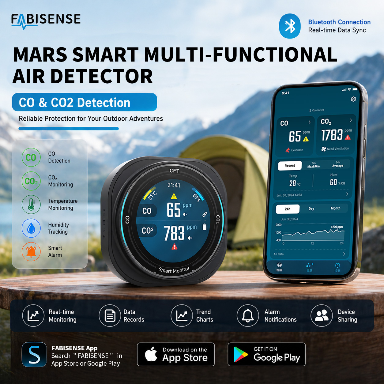 FABISENSE Portable Air Quality - Co Detector Plug 评论和价格