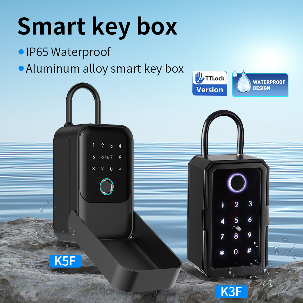 Tuya Smart Life App or TTLock  - Lockbox Key Secure 评论和价格
