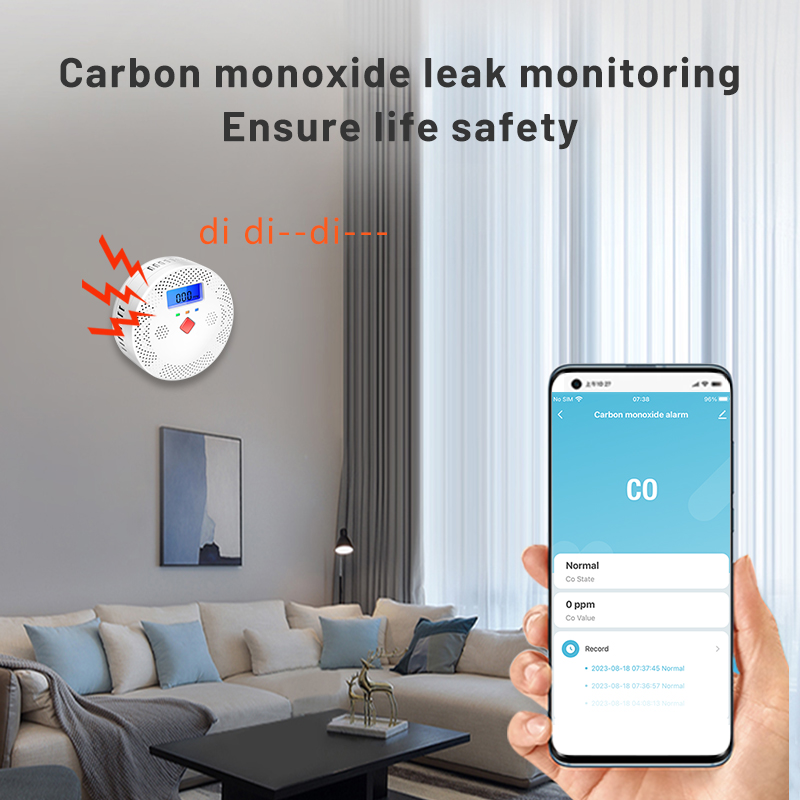 Tuya WiFi Smart Carbon Monoxid - Co Detector Plug 评论和价格